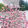 Winter Viburnum-Susan Entwistle