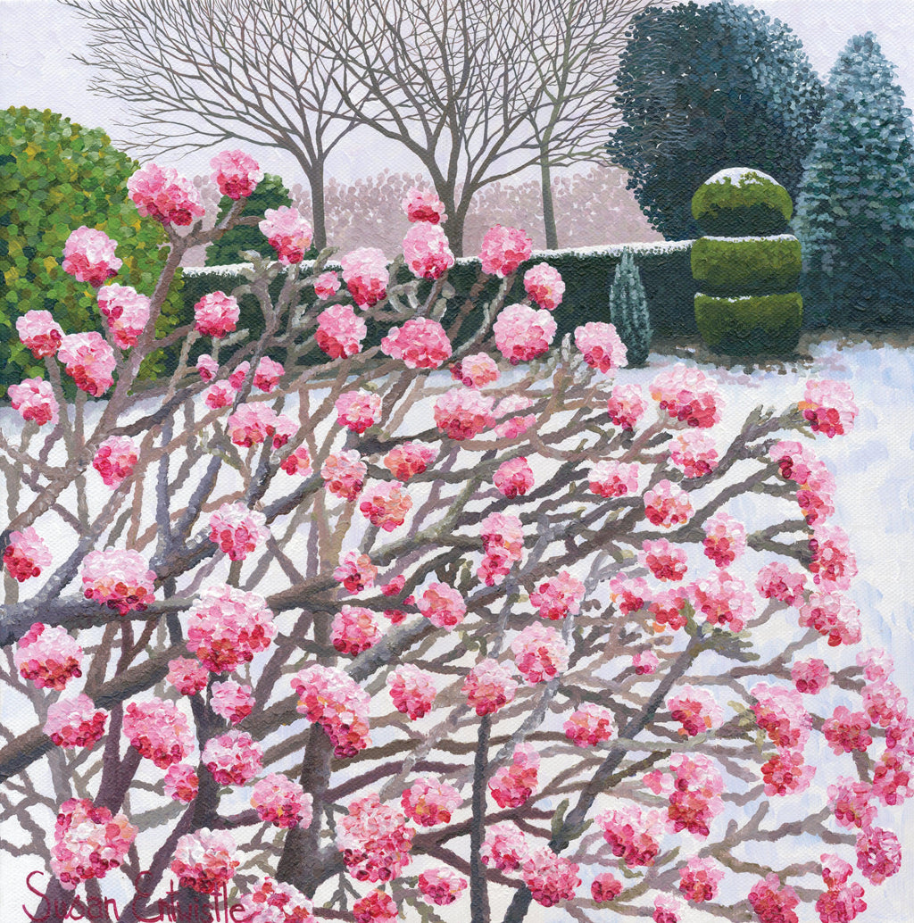 Winter Viburnum Card-Susan Entwistle