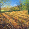 Golden Light- SOLD-Susan Entwistle