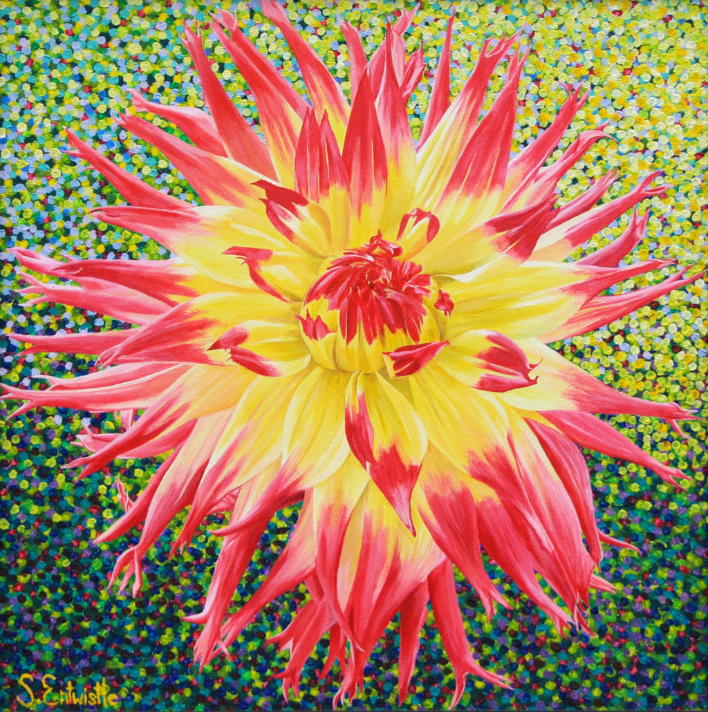 Cactus Dahlia Card-Susan Entwistle