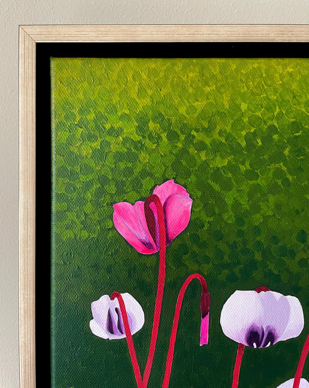 Cyclamen-Susan Entwistle