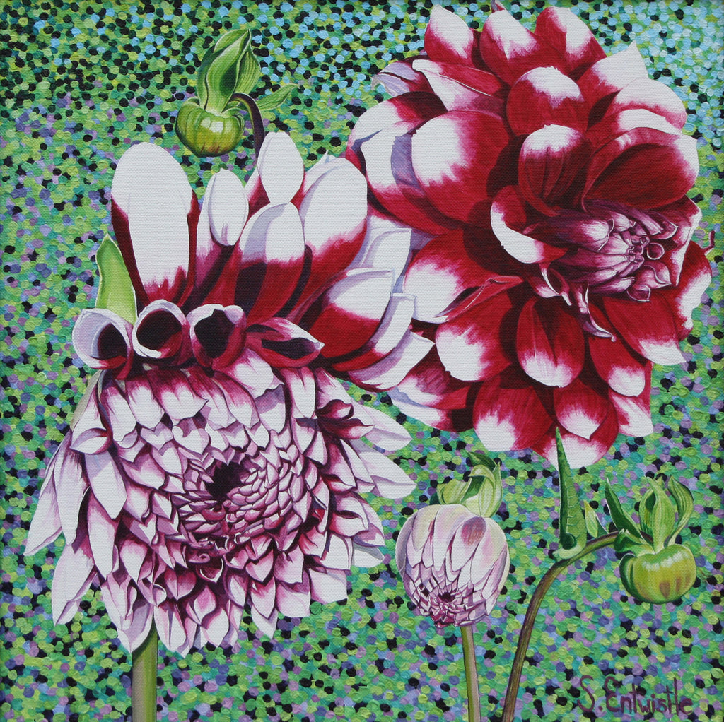 Garden Dahlia Card-Susan Entwistle